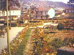 The parque central en the 1960s